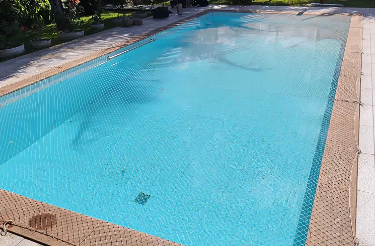 Imagem Ilustrando Rede Forte